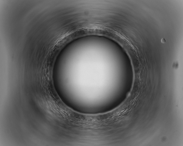 X0000101150870200806270941