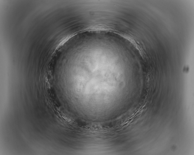 X0000101150871200806270941