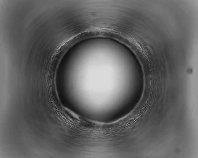 X0000101150872200806270941
