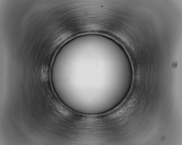 X0000101150873200806270941