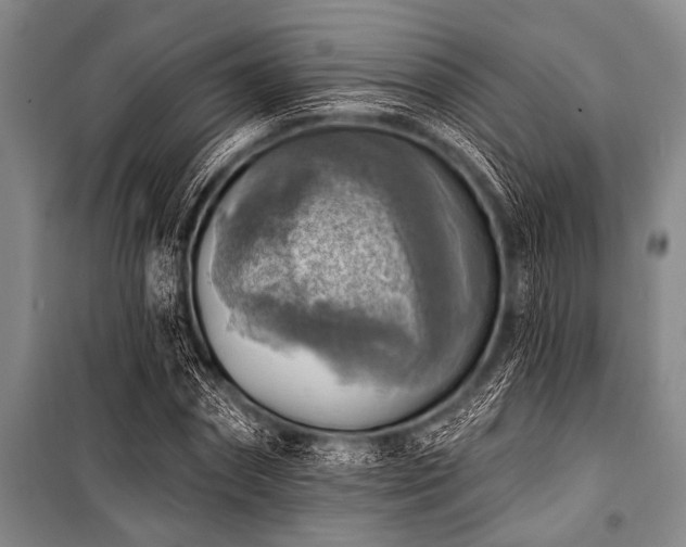 X0000101150874200806270941