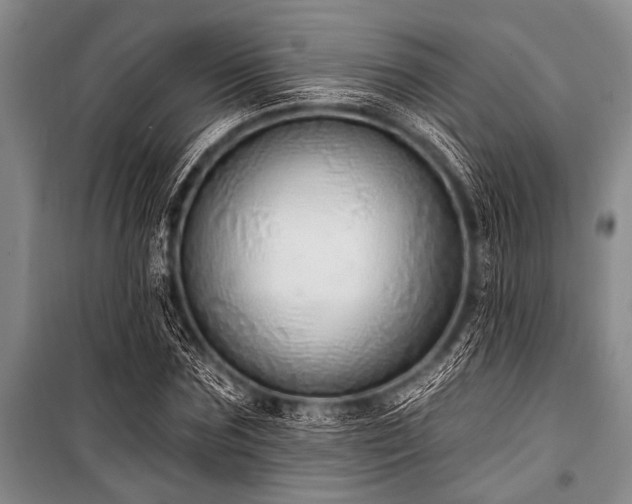 X0000101150875200806270941