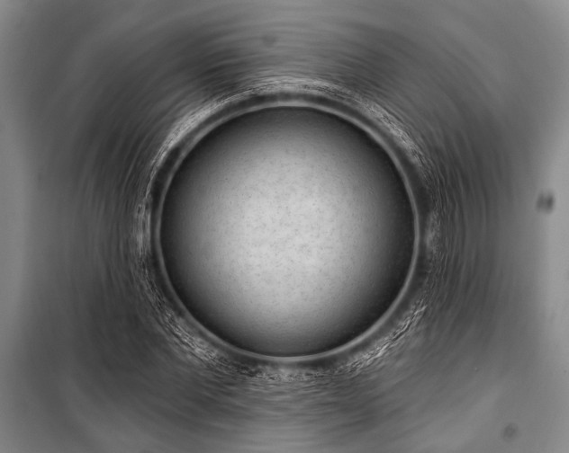 X0000101150877200806270941