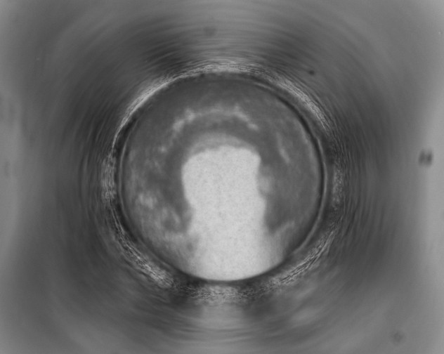 X0000101150878200806270941