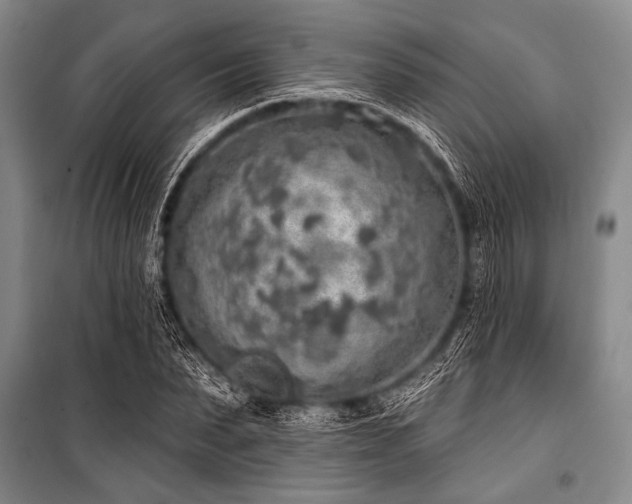 X0000101150879200806270941