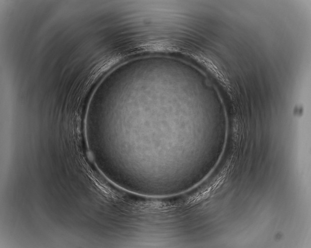 X0000101150881200806270941