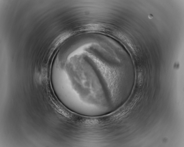 X0000101150882200806270941