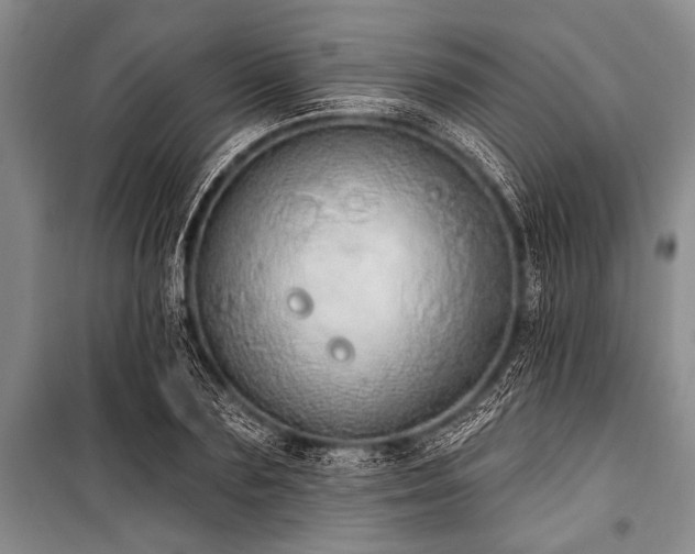 X0000101150883200806270941