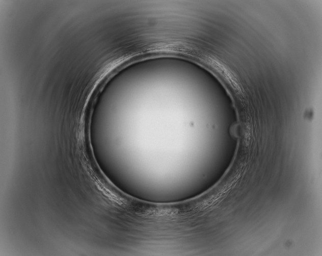 X0000101150884200806270941