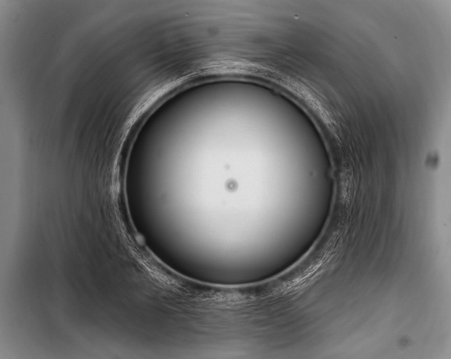 X0000101150885200806270941