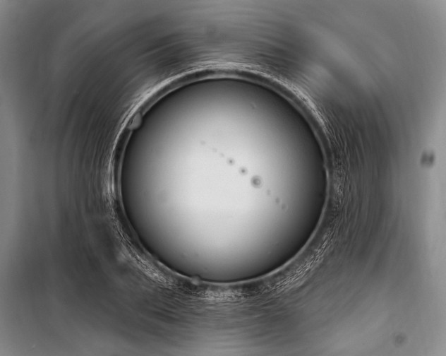 X0000101150887200806270941