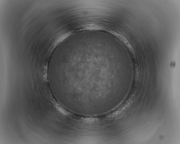 X0000101150889200806270941