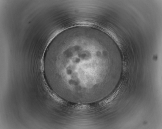 X0000101150891200806270941