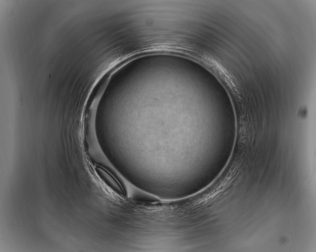 X0000101150892200806270941