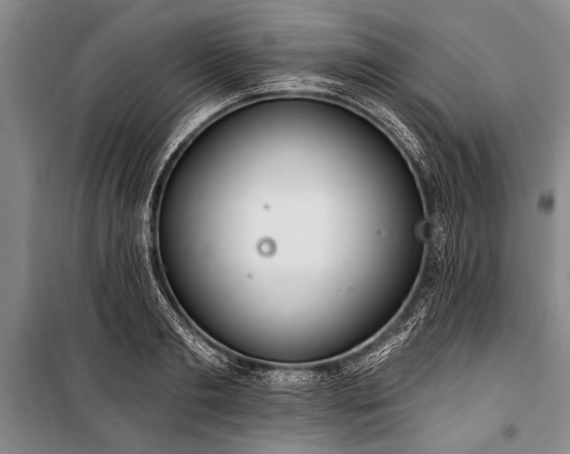 X0000101150893200806270941