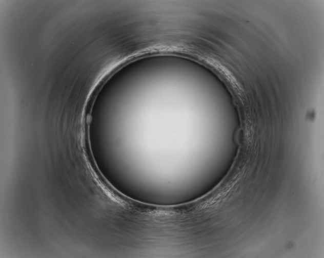 X0000101150894200806270941