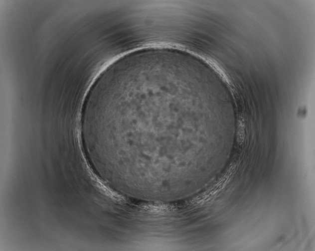 X0000101150895200806270941