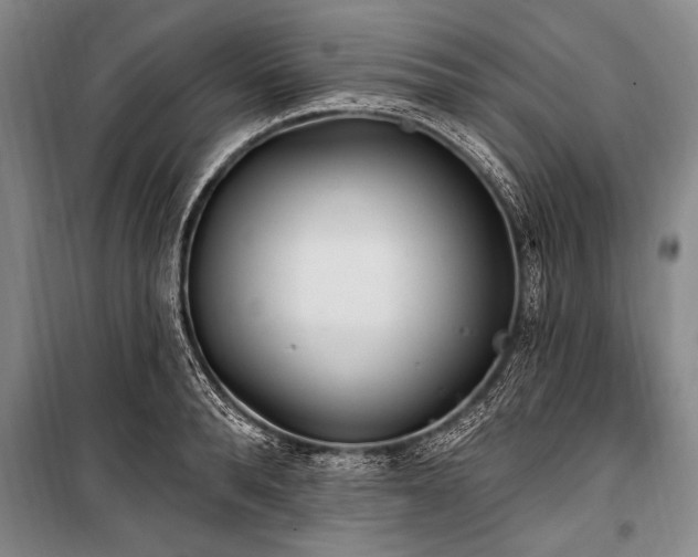 X0000101150896200806270941