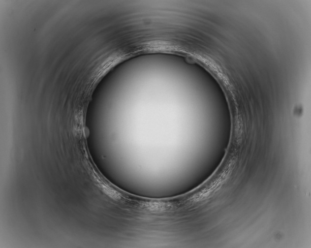 X0000101150897200806270941