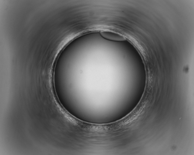 X0000101150901200806270941