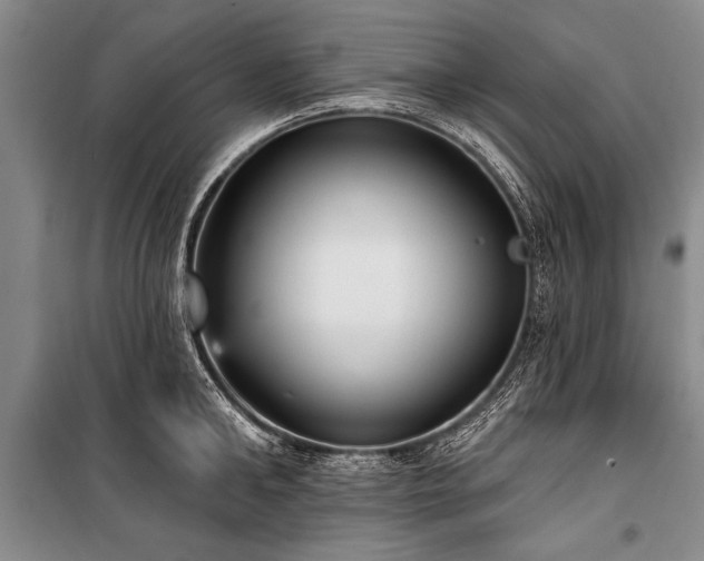 X0000101150902200806270941