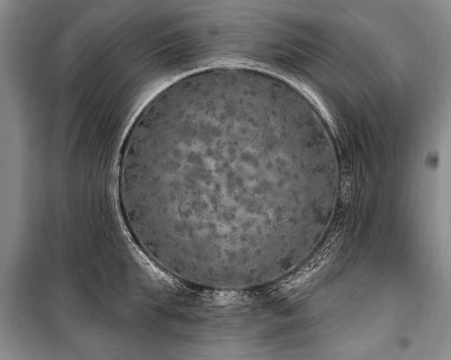 X0000101150903200806270941