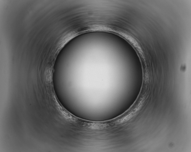 X0000101150905200806270941