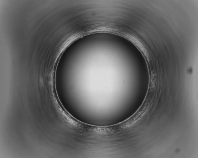 X0000101150906200806270941