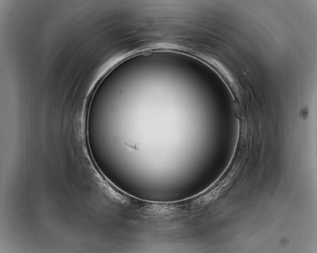 X0000101150910200806270941