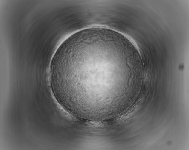 X0000101150911200806270941