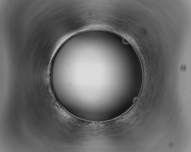 X0000101150912200806270941