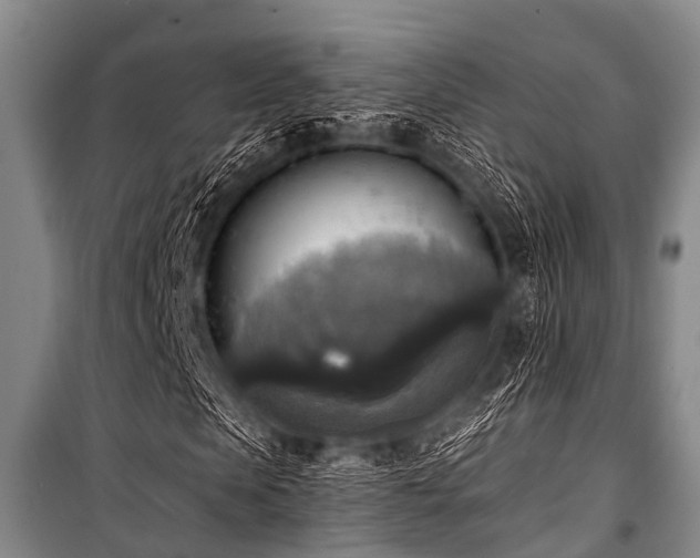 X0000101150913200806270940