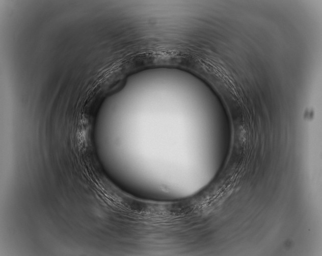 X0000101150914200806270940
