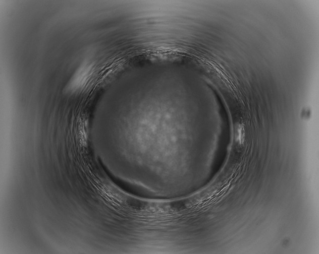 X0000101150915200806270940