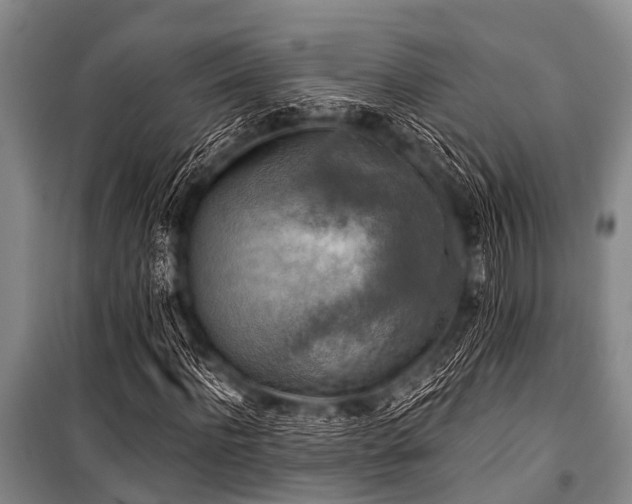 X0000101150916200806270940