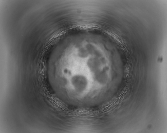 X0000101150917200806270940