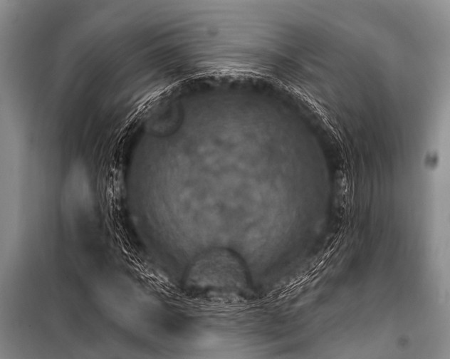 X0000101150918200806270940