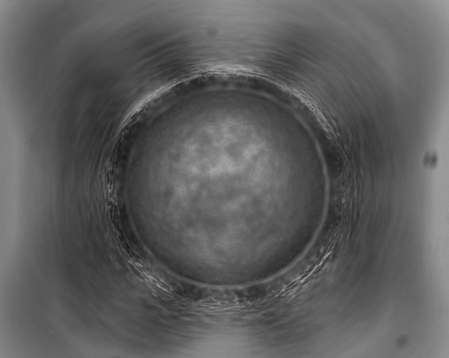 X0000101150919200806270940