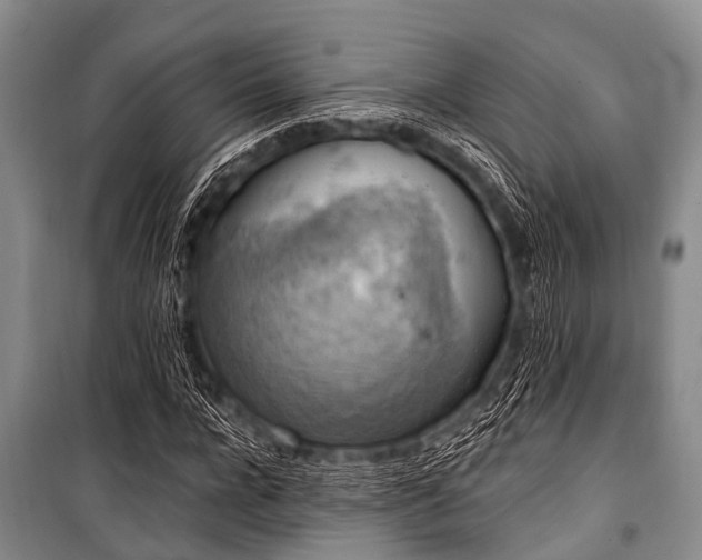 X0000101150920200806270940