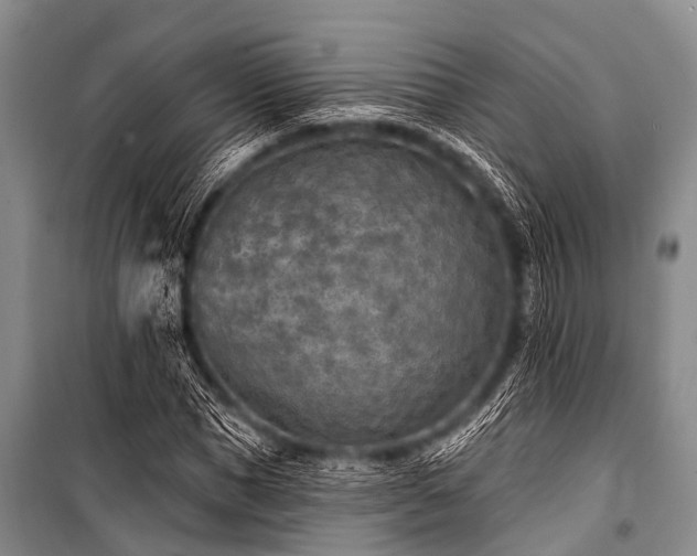 X0000101150921200806270940