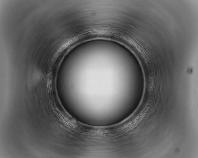 X0000101150922200806270940