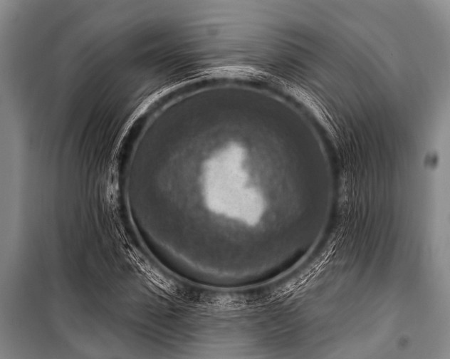 X0000101150923200806270940