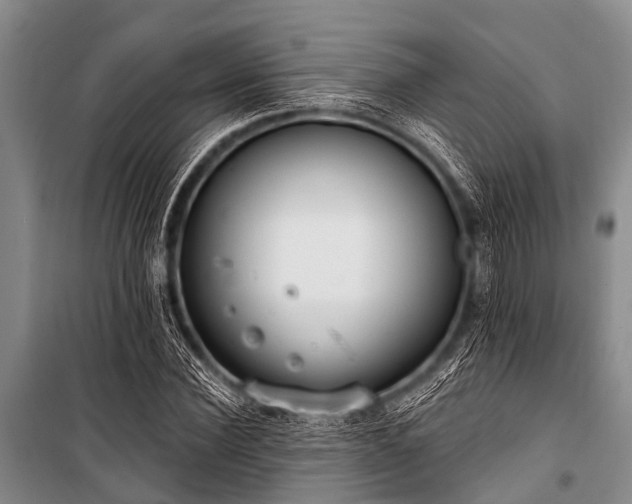 X0000101150924200806270940