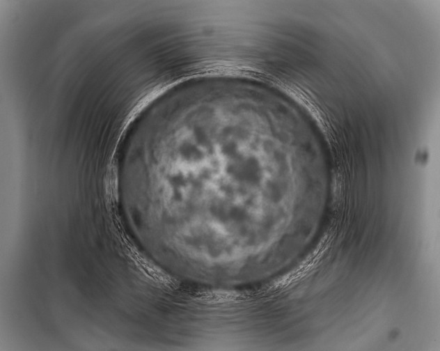 X0000101150925200806270940