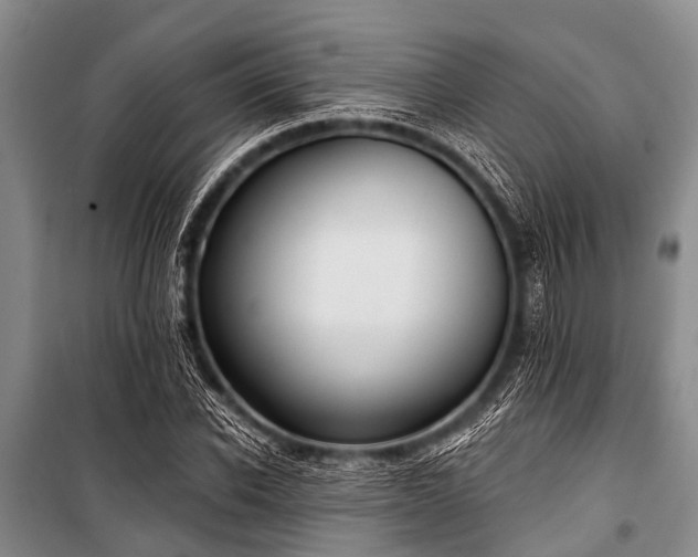 X0000101150926200806270940