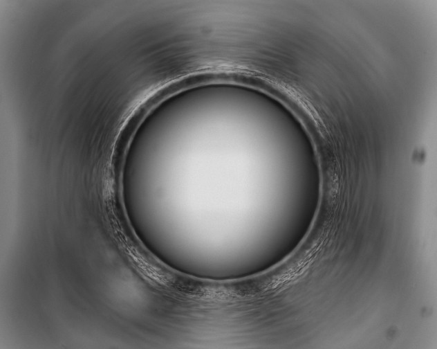 X0000101150927200806270940