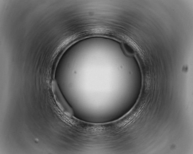 X0000101150930200806270940