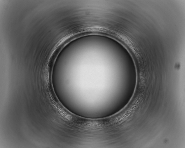X0000101150931200806270940