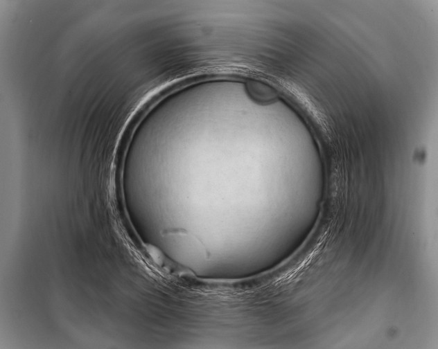 X0000101150932200806270940