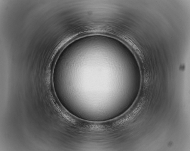 X0000101150933200806270940